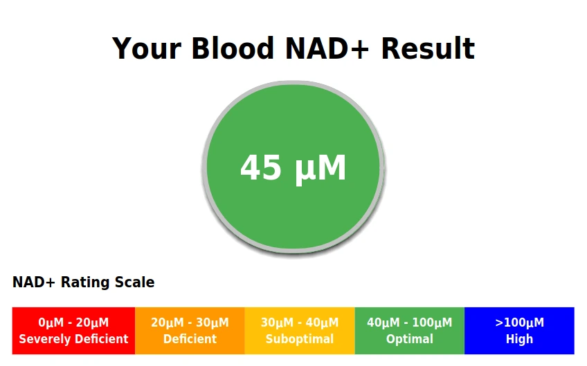 MNT Results - How It Works