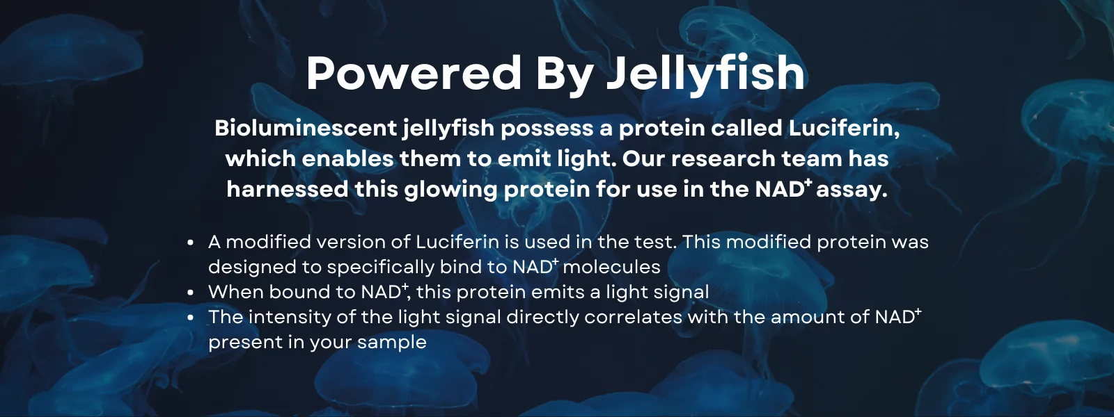 Jellyfish Powered