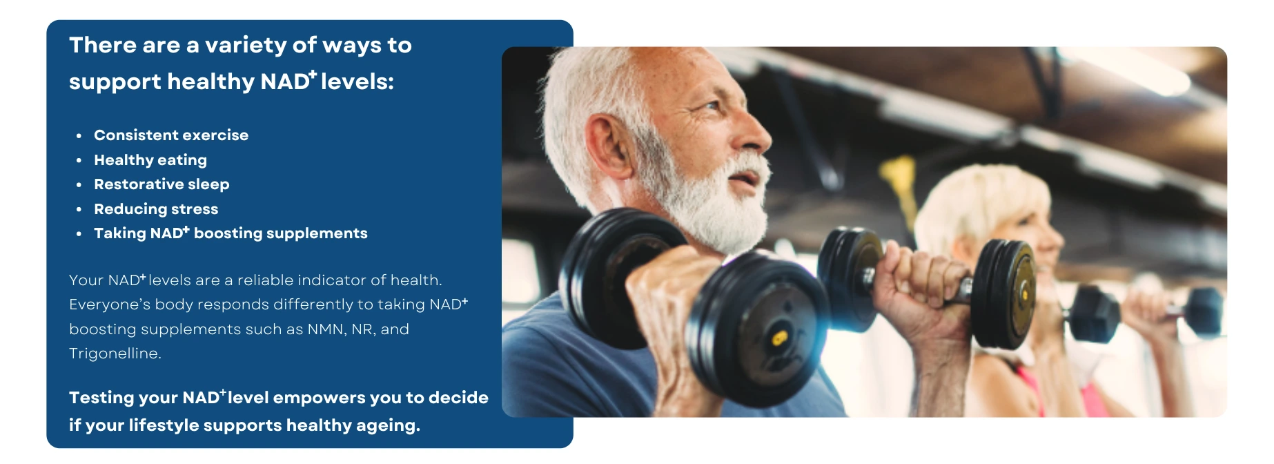 Support NAD Levels