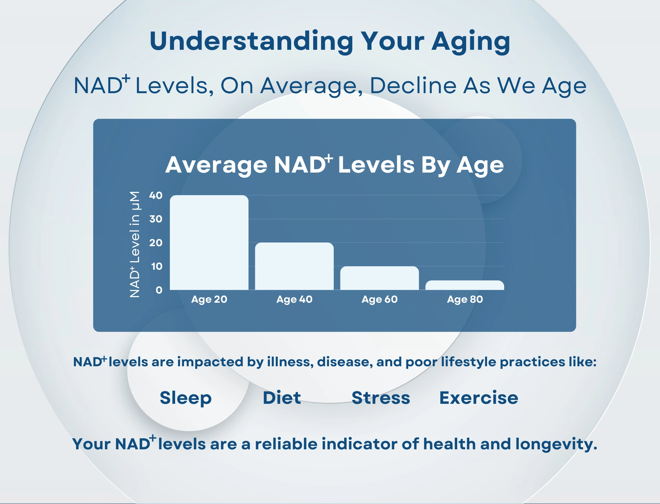 Understanding Your Aging